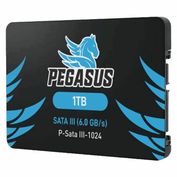 Pegasus 1TB SATA III SSD (2.5")