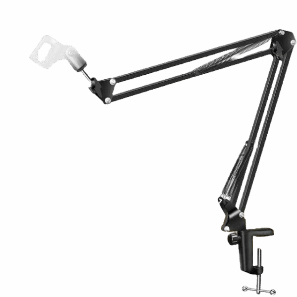 Professional Microphone Stand